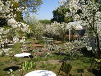 Baumbl�te 2009 in Werder