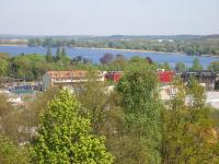 Baumbl�te 2009 in Werder