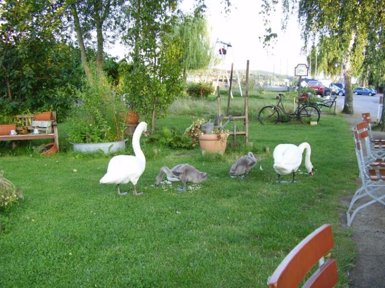 Ufergarten